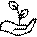 wachstum 