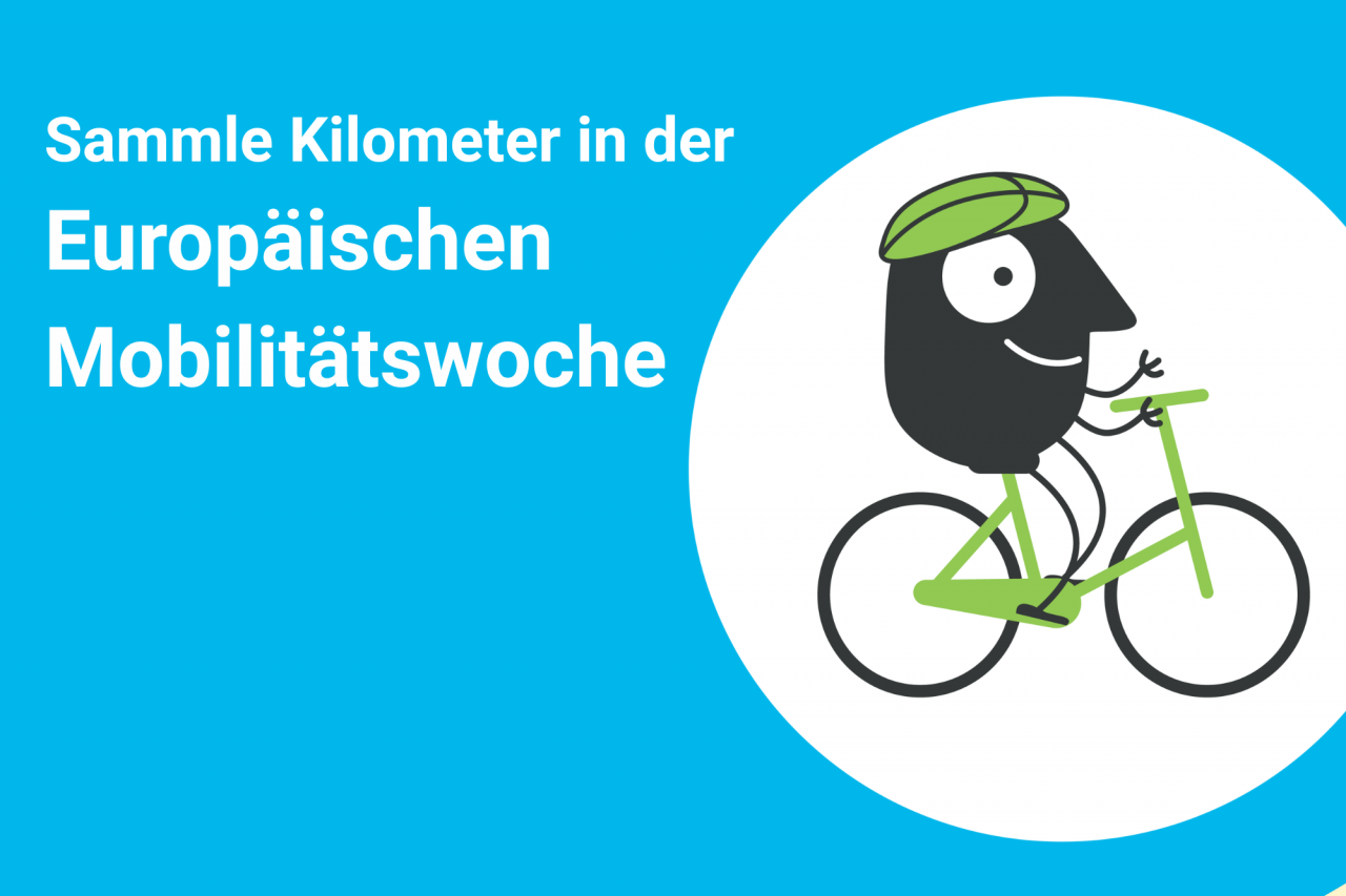 Slide: 